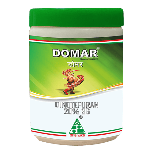 Domar