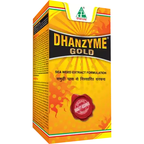 Dhanzyme Gold Liq 