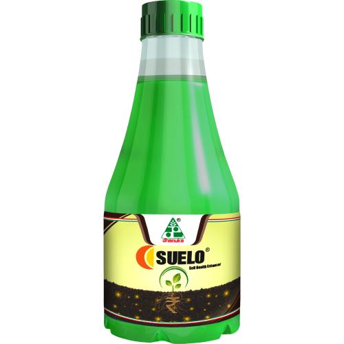 Suelo