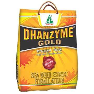Dhanzyme Gold Granules