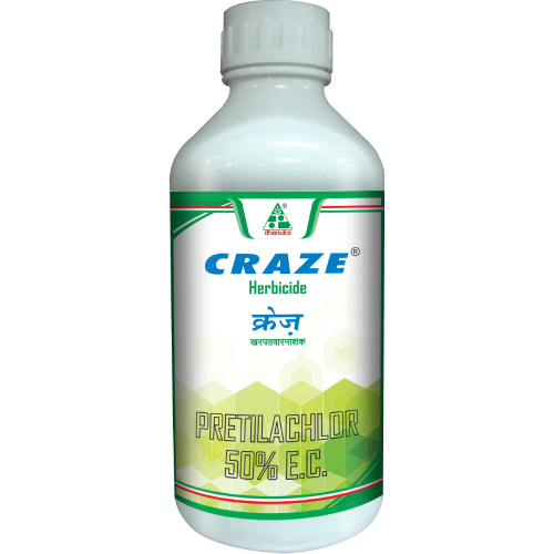 Craze