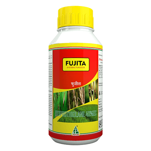 Fujita