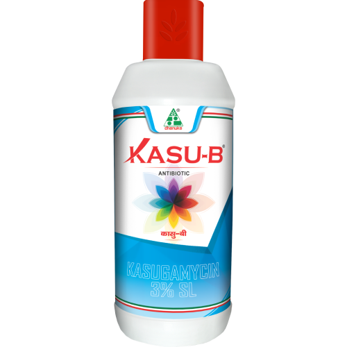 Kasu-B