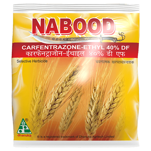 Nabood