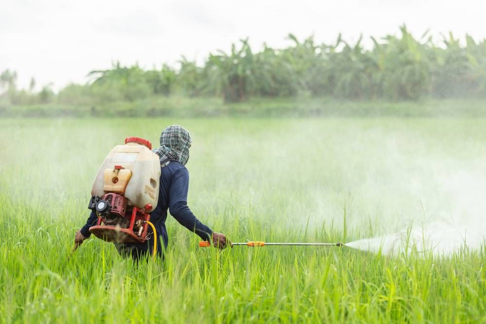 Farming Techniques