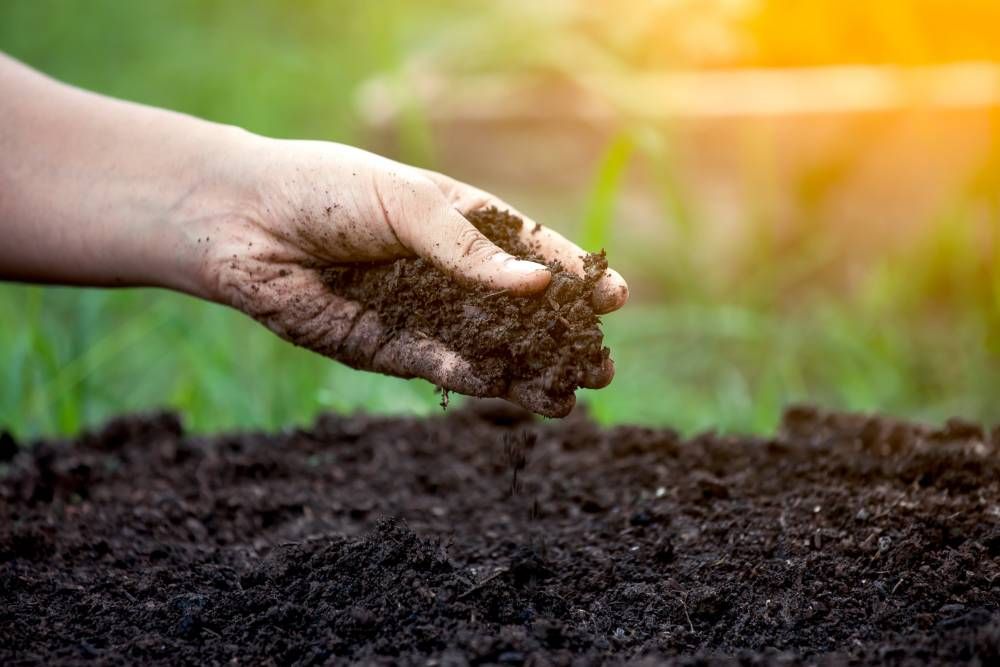 Farming Techniques