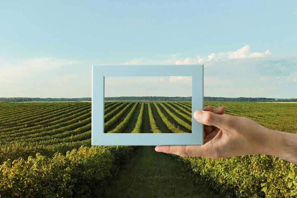 Farming Techniques