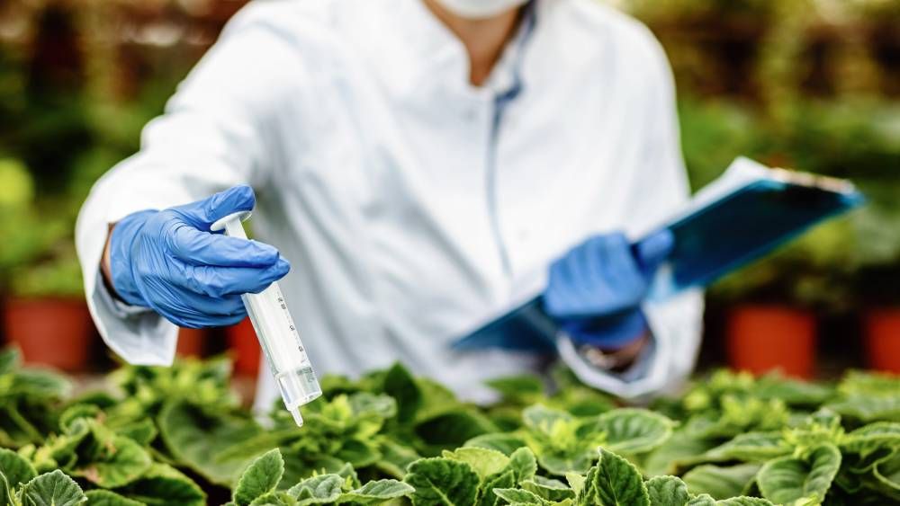 Farming Techniques