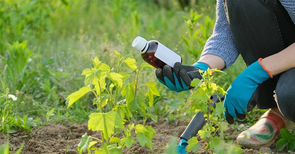 Farming Techniques