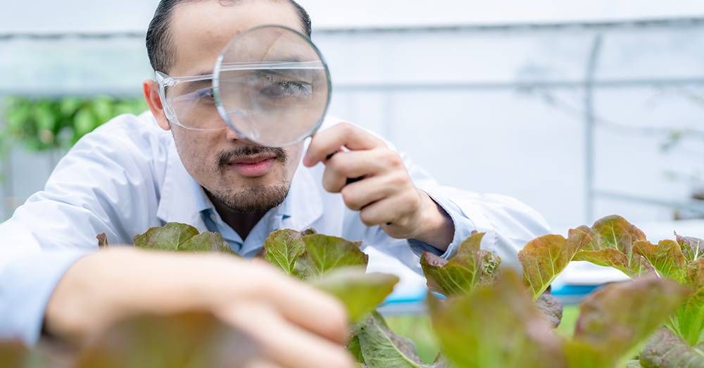 Farming Techniques