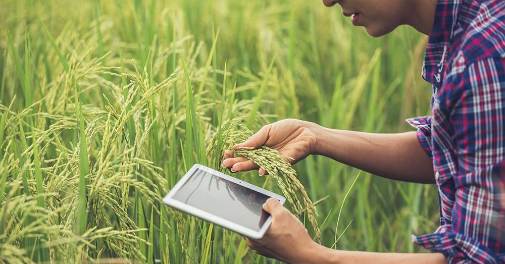 Farming Techniques