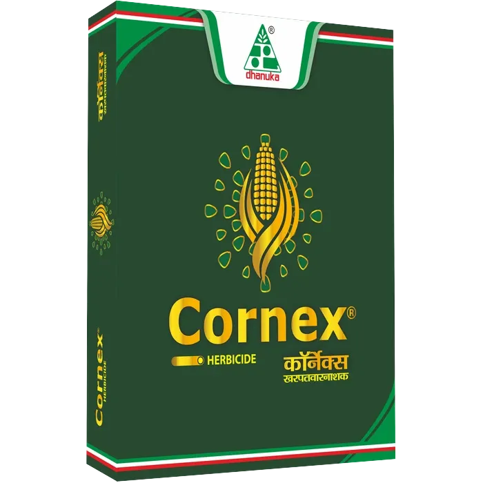 Cornex®
